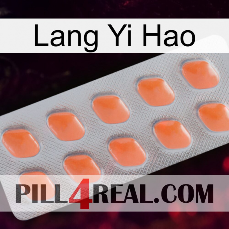 Lang Yi Hao 26